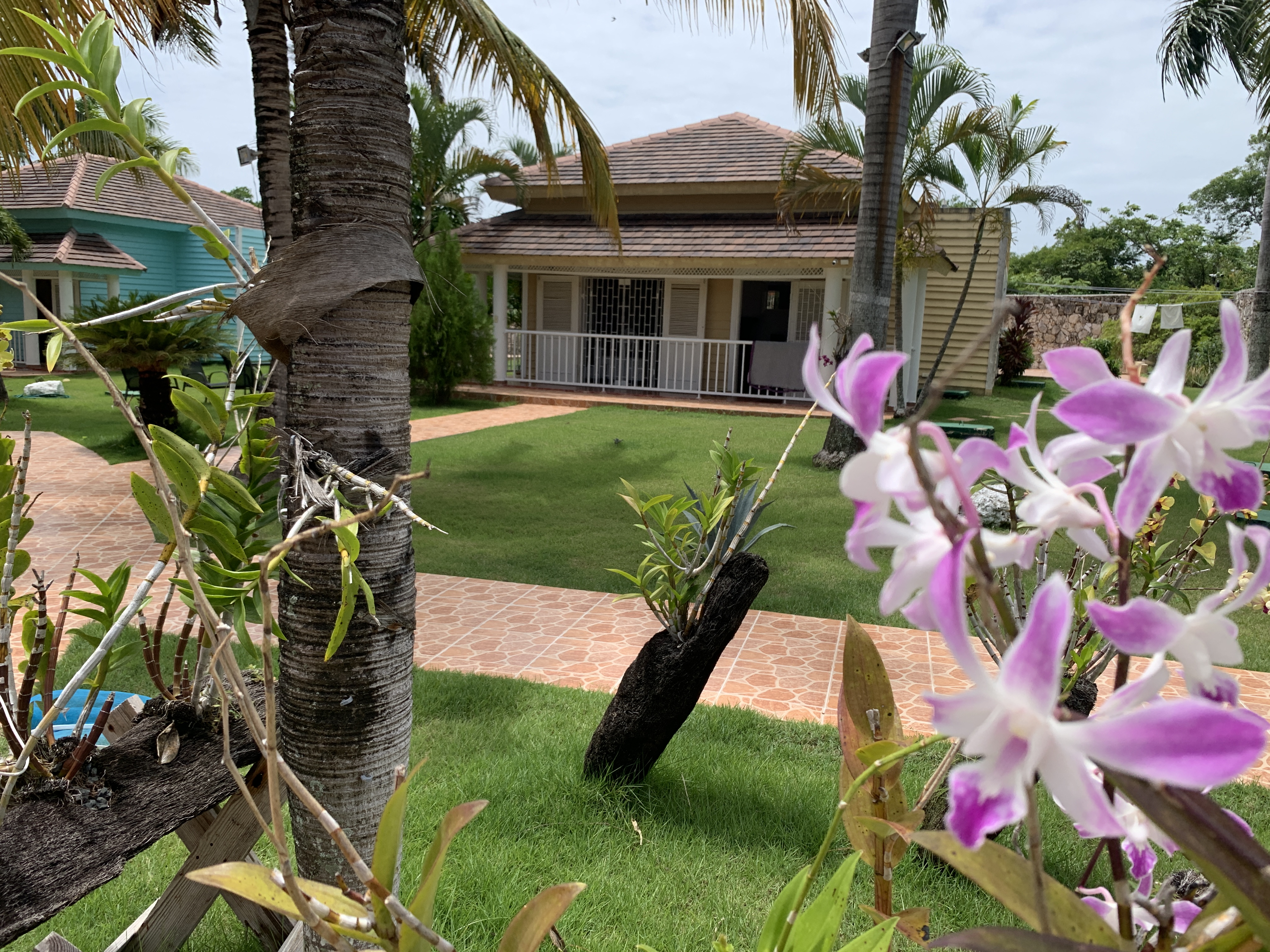 Un pedazo de paraíso en Bávaro, Conjunto de tres casa amuebladas